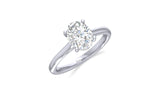 14K White Gold